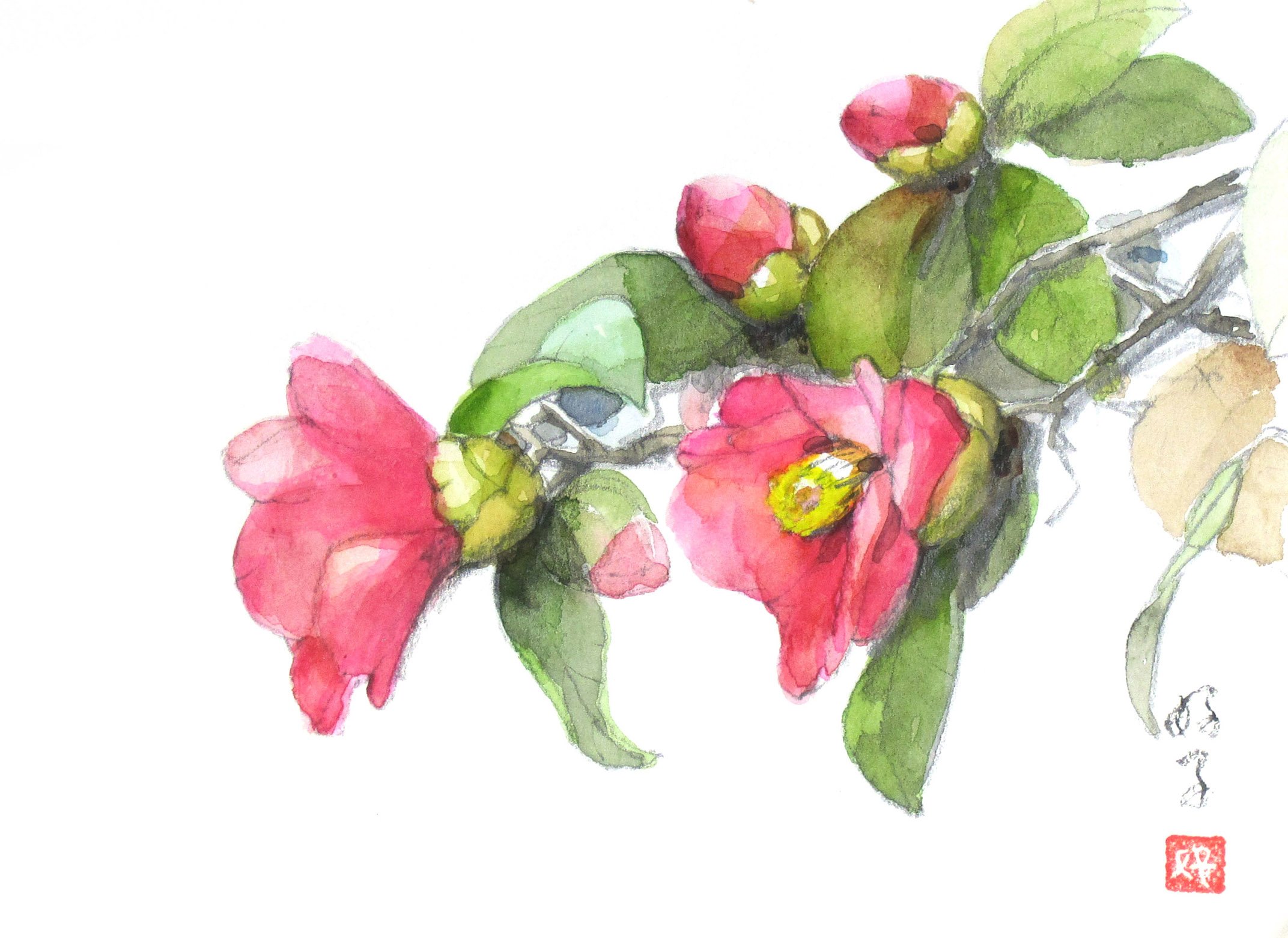 豪奢な 水彩画 椿 花 絵画 絵画 タペストリ Www Smithsfalls Ca
