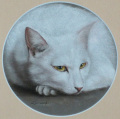 山中翔之郎「艶」パステル   外寸・357×357mm