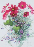 花・志村好子　「野の花」（濃いピンクのコスモス）　水彩４号　外寸500×411mm