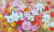 花の絵・　志村好子　「花盛り」　油彩　Ｐ３０　外寸950×1134mm