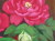 花の絵・志村好子　　「牡丹」（赤）　油彩　Ｆ4　外寸395×483mm