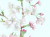 花の絵・　志村好子　「心の花（桜）」　水彩４号　外寸411×500mm