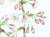 花の絵・　志村好子　「心の花（桜）」　水彩４号　外寸411×500mm