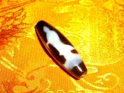 天珠/曼荼羅/仏画（タンカ）の通販・販売　チベット専門店 【蒙根】