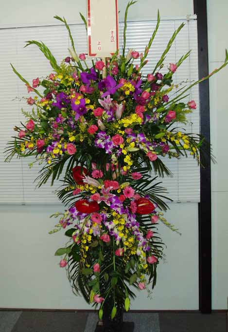 おめでとうスタンド!（おまかせ2段）-34　小田原より藤沢まで取扱い