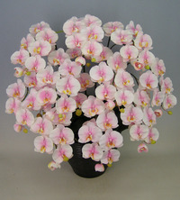 ♪本物そっくり　送料無料♪【光触媒】胡蝶蘭　大輪　桜ピンク　10本立ち