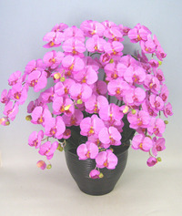 ♪本物そっくり　送料無料♪【光触媒】胡蝶蘭　大輪　赤ピンク　10本立ち