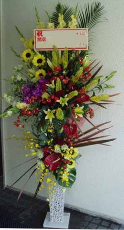 【無料配達】ニュースタイル　特価　おススメ　祝 白鉄スタンド（２段）-2　小田原より藤沢まで取扱い