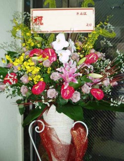 おしゃれ！祝三角スタンド（1段）-30　小田原より藤沢まで取扱い