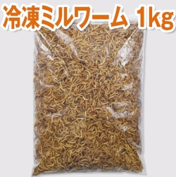 冷凍ミルワーム