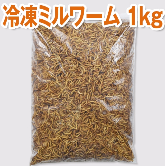 冷凍ミルワーム