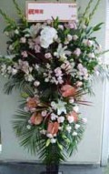 豪華生花をお祝いに！黒スタンド（おまかせ2段）-33　小田原より藤沢まで取扱い
