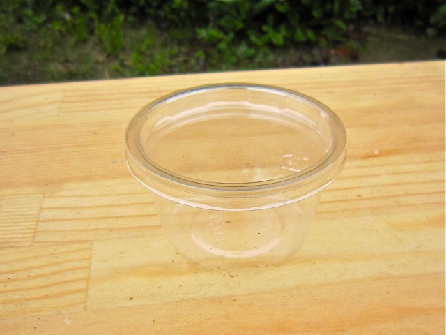 幼虫管理カップ60cc