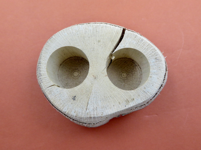 アウトレットエサ皿16g2個穴の画像