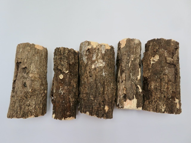 アウトレット止まり木5本入り