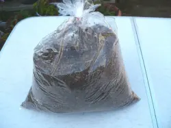 会員様限定特価】無添加最高級！虫吉プレミアム幼虫用マット4