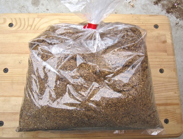 クワガタの成虫、オオクワの産卵兼用マットの販売/クワガタ工房虫吉