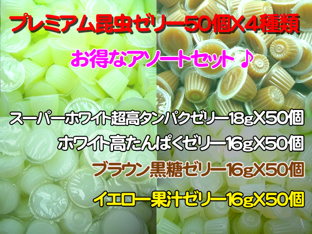 昆虫ゼリー4種アソートセット