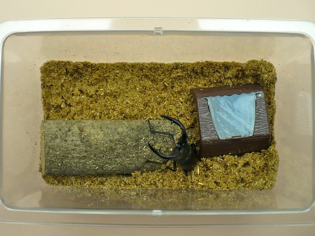 プリ止まり木使用例