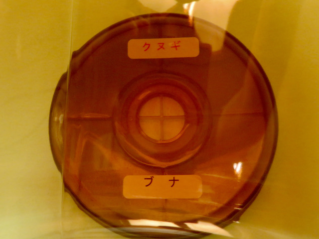 遮光ボトル越しに見た文字