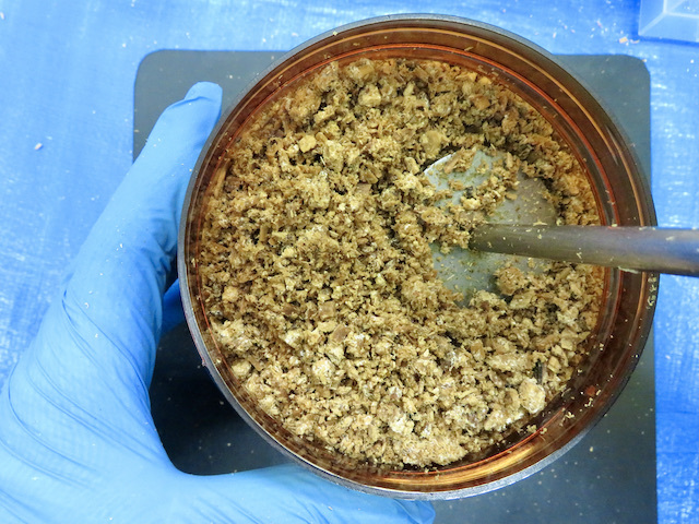 遮光ボトル1400ccに菌糸ビンを詰めている様子