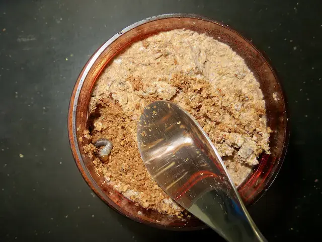 二齢幼虫を菌糸ビンに入れる