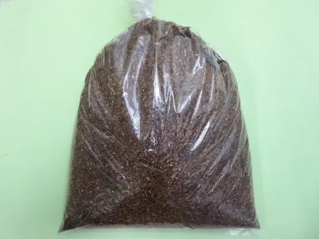 発酵クヌギ成虫マット