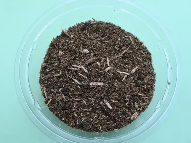 発酵クヌギ成虫用マットの粒子