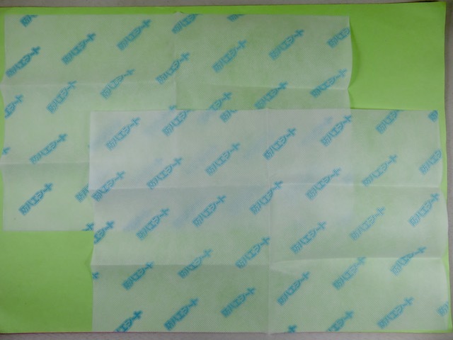 ハエピタシートの内容の姿