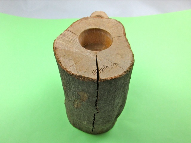 隠れ家、アウトレットインセクトシェルターL