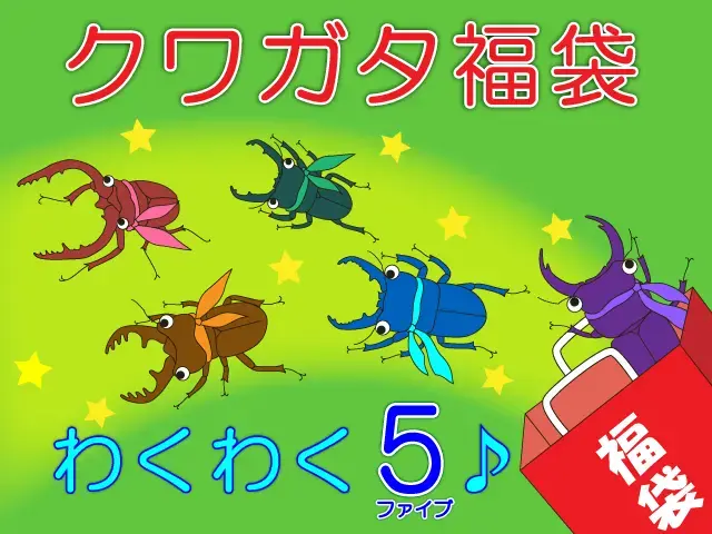 クワガタのオスのみ5種類の福袋（わくわく5）