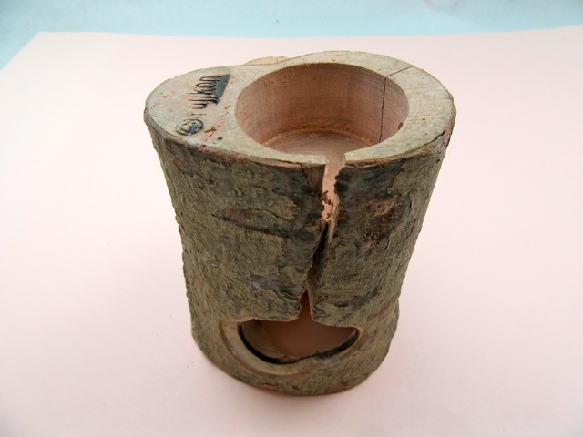 インセクトシェルターM訳あり