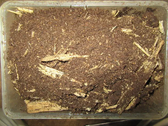 幼虫回収後の割カス