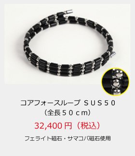 コアフォース・ループ/SUS　50cm