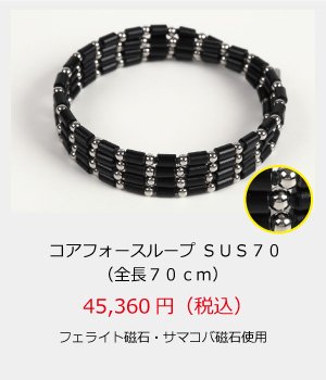 コアフォース・ループ/SUS　70cm