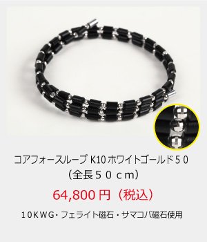 コアフォース・ループ/10K　ホワイトゴールド　50cm