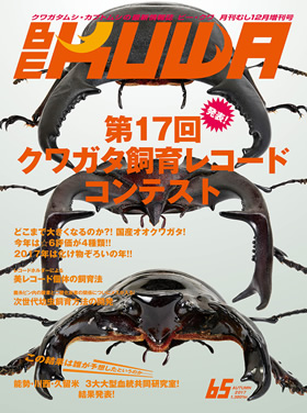 BE-KUWA No.65 発表！第17回クワガタ飼育レコード コンテスト