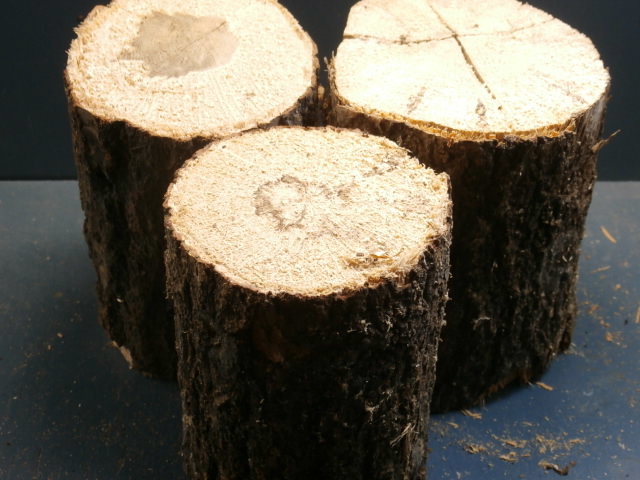 産卵飼育材 L　B材