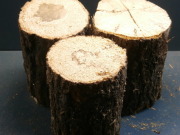 産卵飼育材 L　B材