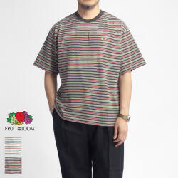 FRUIT OF THE LOOM フルーツオブザルーム ピーチ起毛天竺 ナローマルチボーダーTシャツ メンズ