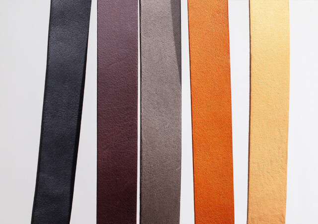 エスペラント　ESPERANTO　1933 1934 1935 The story of the man who created a language for world peace