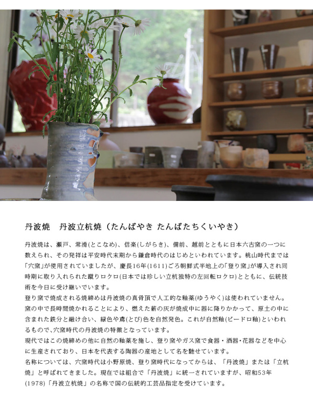 和食器　丹波立杭焼　取り皿　5枚 丹波焼 プレート 末晴窯 西端春奈 作 椿づくし 楕円皿 パスタ カレー皿