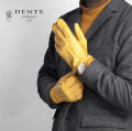 DENTS デンツ Clifton ペッカリー レザーグローブ 手袋 革手袋 本革 メンズ