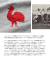SPORTS D’EPOQUE スポーツデポック FIRST ROOSTER T-SHIRT ファーストルースター刺繍トリムTシャツ メンズ