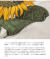 LIBERTY GRAPHICS リバティグラフィックス Sunflower & Bees プリントTシャツ メンズ