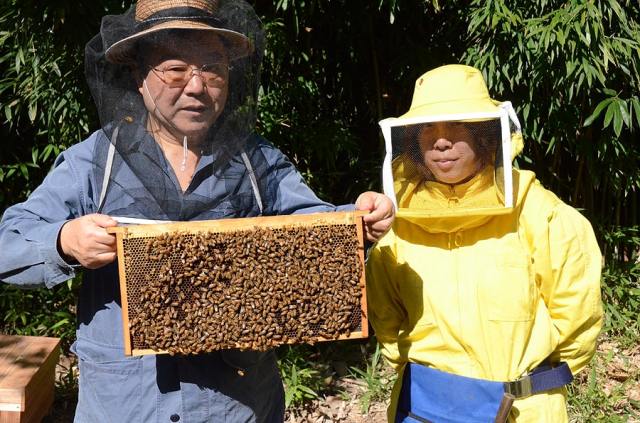 洗顔・全身洗えます！【お得なバータイプ 神戸 はちみつ棒石鹸】無添加