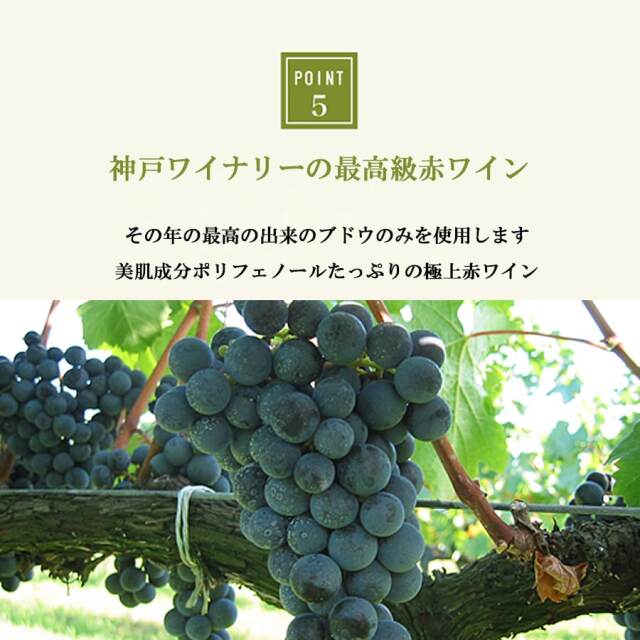 赤ワイン
