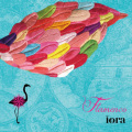 Flamenco 〔フラメンコ〕