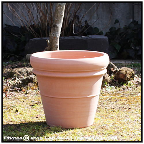 大型輸入植木鉢　 トスカーナ　 素焼き陶器鉢 リムポット52　　デローマ社　テラコッタ鉢　
