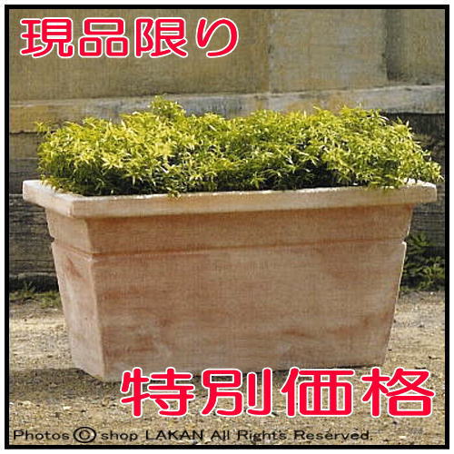 無地柄　人気　輸入鉢　 ガルデア　